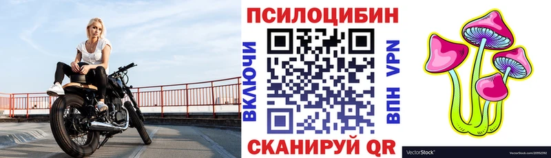 MEGA вход  Белая Холуница  Псилоцибиновые грибы Cubensis  как найти наркотики 